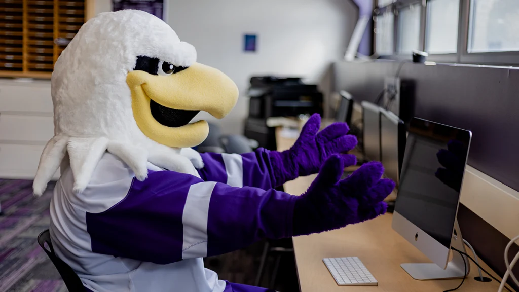 Monte the Eagle looking at a computer